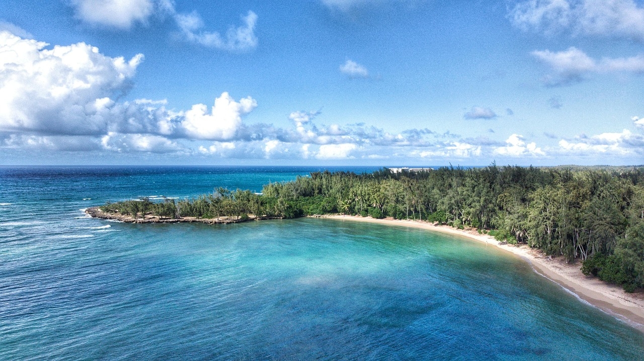 A photo of the shore in Turtle Bay, O'ahu, with green trees, a sandy beach, and bright blue water.